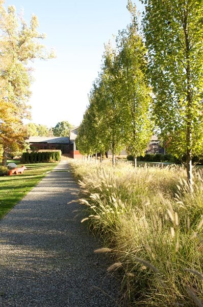 The Art of Autumn
Lisa Roth - Landscape Architect
Devon, PA