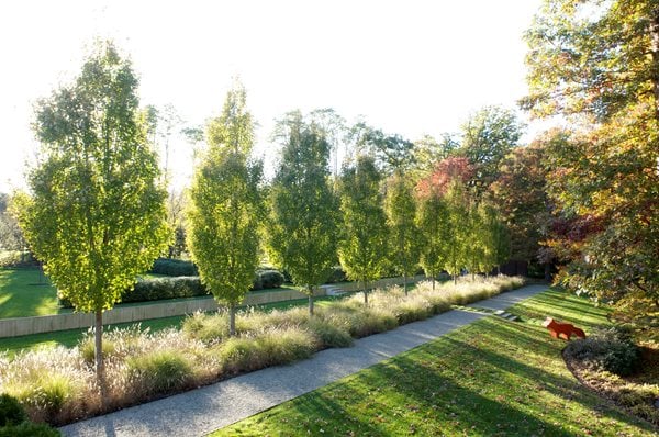 The Art of Autumn
Lisa Roth - Landscape Architect
Devon, PA