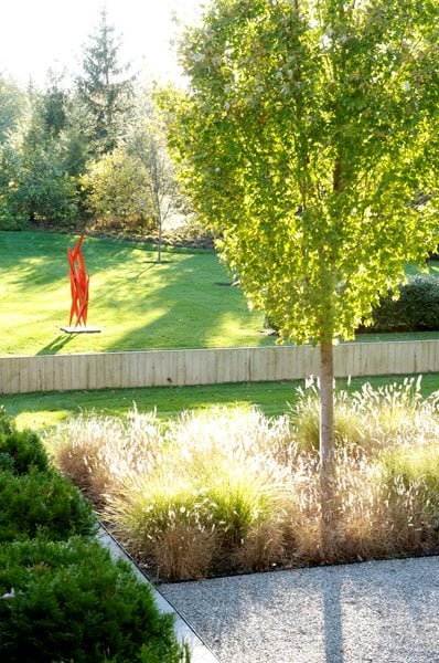 The Art of Autumn
Lisa Roth - Landscape Architect
Devon, PA