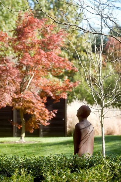 The Art of Autumn
Lisa Roth - Landscape Architect
Devon, PA