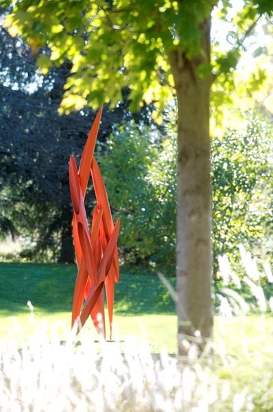 The Art of Autumn
Lisa Roth - Landscape Architect
Devon, PA