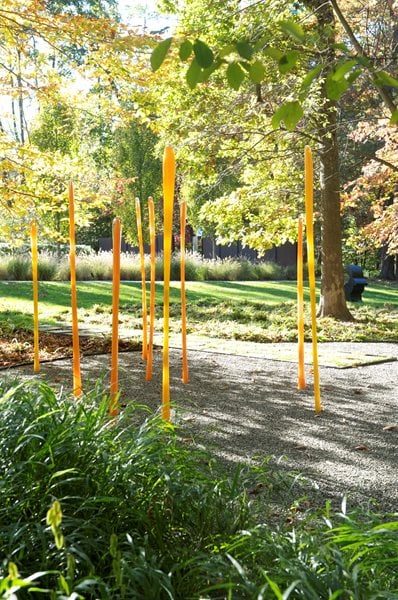 The Art of Autumn
Lisa Roth - Landscape Architect
Devon, PA