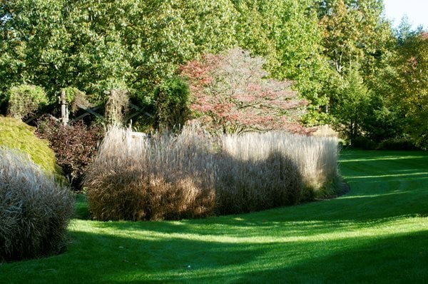 The Art of Autumn
Lisa Roth - Landscape Architect
Devon, PA