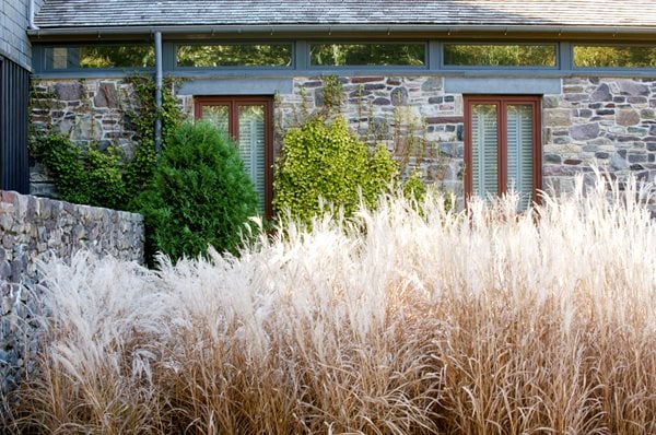 The Art of Autumn
Lisa Roth - Landscape Architect
Devon, PA