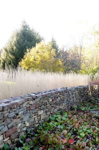 The Art of Autumn
Lisa Roth - Landscape Architect
Devon, PA