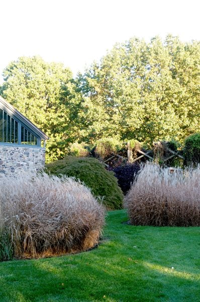 The Art of Autumn
Lisa Roth - Landscape Architect
Devon, PA