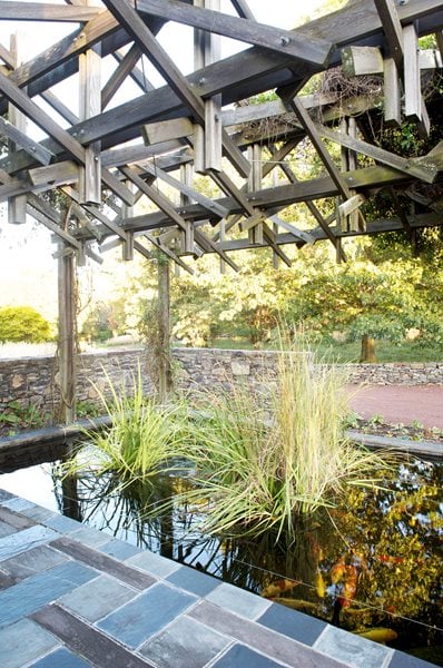 The Art of Autumn
Lisa Roth - Landscape Architect
Devon, PA