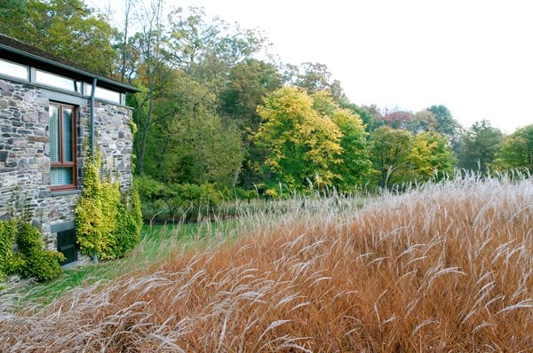 The Art of Autumn
Lisa Roth - Landscape Architect
Devon, PA