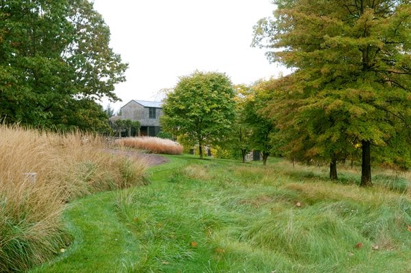 The Art of Autumn
Lisa Roth - Landscape Architect
Devon, PA