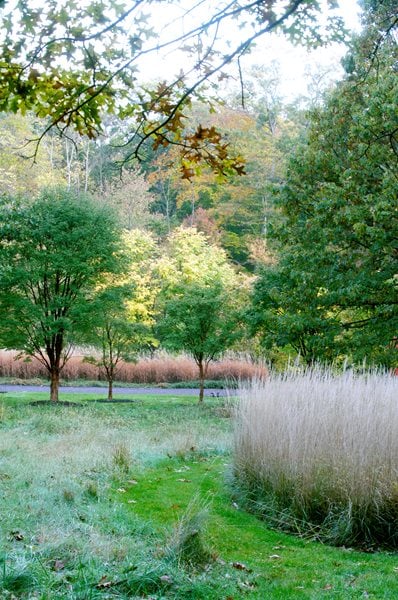 The Art of Autumn
Lisa Roth - Landscape Architect
Devon, PA