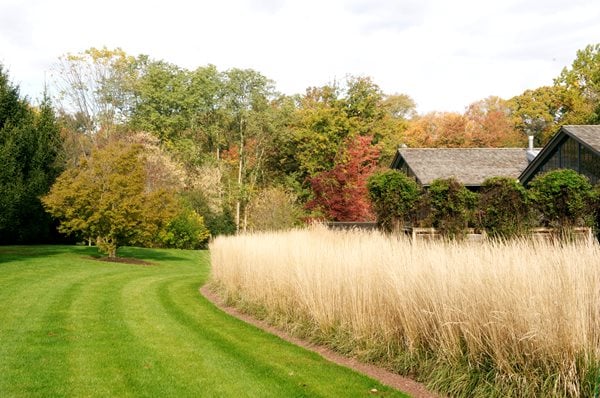 The Art of Autumn
Lisa Roth - Landscape Architect
Devon, PA