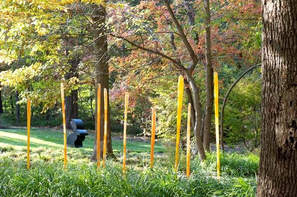 The Art of Autumn
Lisa Roth - Landscape Architect
Devon, PA