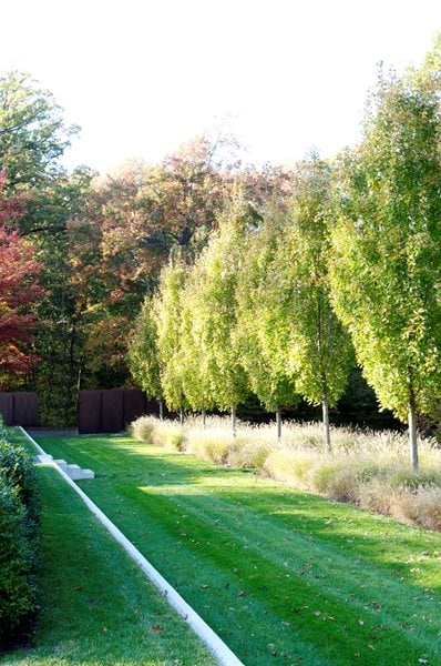 The Art of Autumn
Lisa Roth - Landscape Architect
Devon, PA