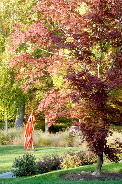 The Art of Autumn
Lisa Roth - Landscape Architect
Devon, PA