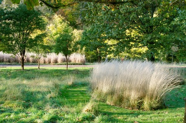 The Art of Autumn
Lisa Roth - Landscape Architect
Devon, PA