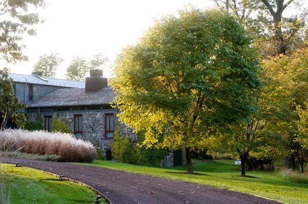 The Art of Autumn
Lisa Roth - Landscape Architect
Devon, PA