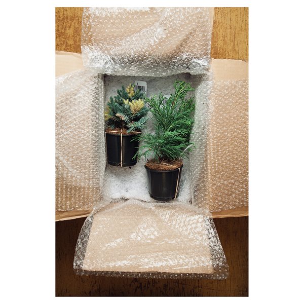 The Best Mail-Order Plant Sources
Garden Design
Calimesa, CA