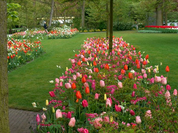 The Craft of Interplanting with Jacqueline van der Kloet, Slide Show