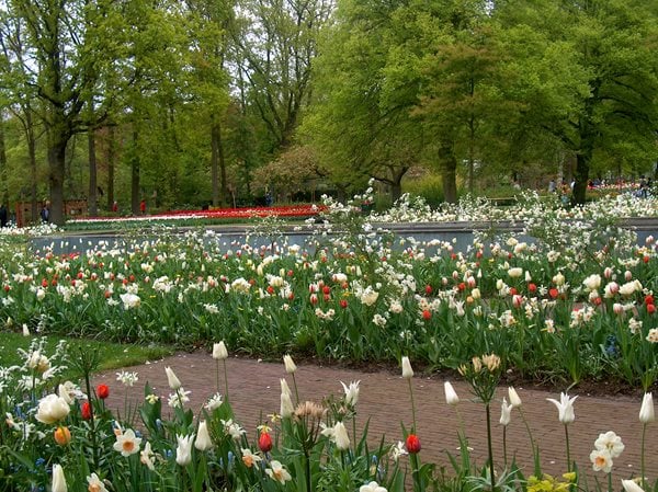 The Craft of Interplanting with Jacqueline van der Kloet, Slide Show