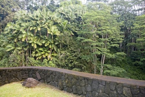 The Falls at Reed's Island, Big Island, Hawaii
Garden Design
Calimesa, CA