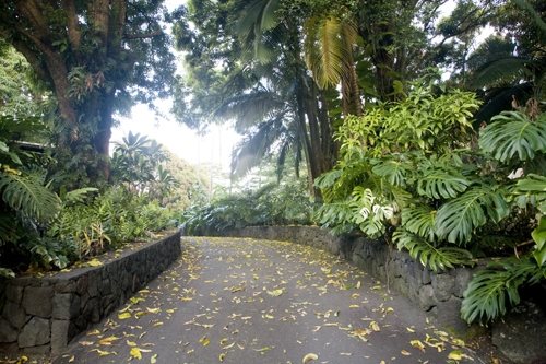 The Falls at Reed's Island, Big Island, Hawaii
Garden Design
Calimesa, CA