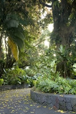 The Falls at Reed's Island, Big Island, Hawaii
Garden Design
Calimesa, CA