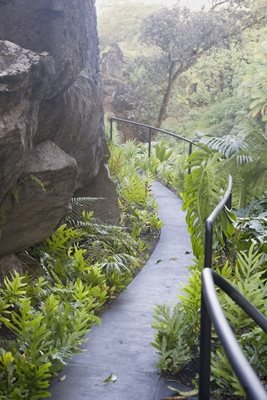 The Falls at Reed's Island, Big Island, Hawaii
Garden Design
Calimesa, CA