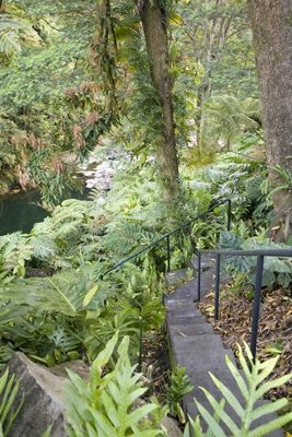 The Falls at Reed's Island, Big Island, Hawaii
Garden Design
Calimesa, CA
