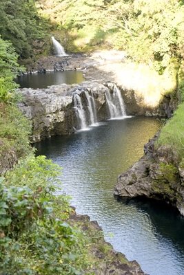 The Falls at Reed's Island, Big Island, Hawaii
Garden Design
Calimesa, CA