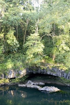 The Falls at Reed's Island, Big Island, Hawaii
Garden Design
Calimesa, CA