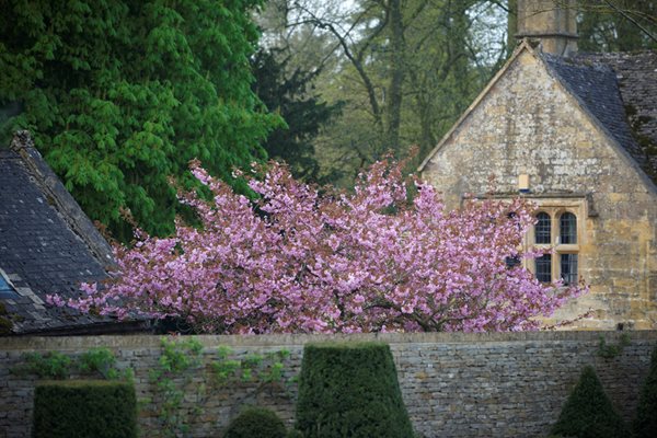 The Garden of Temple Guiting, Cotswold
Garden Design
Calimesa, CA
