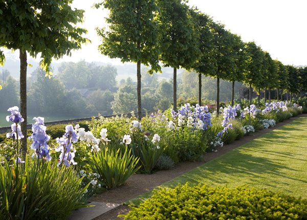 The Garden of Temple Guiting, Cotswold
Garden Design
Calimesa, CA