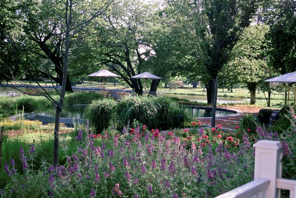 The Landscape Designs of Wolfgang Oehme
Garden Design
Calimesa, CA