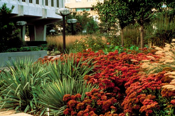 The Landscape Designs of Wolfgang Oehme
Garden Design
Calimesa, CA