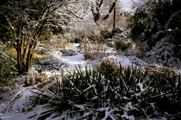 The Landscape Designs of Wolfgang Oehme
Garden Design
Calimesa, CA