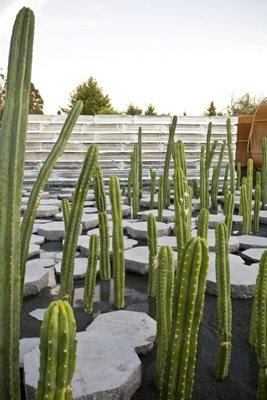 The Late Show Gardens
Garden Design
Calimesa, CA