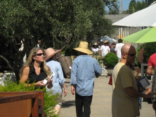 The Late Show Gardens
Garden Design
Calimesa, CA