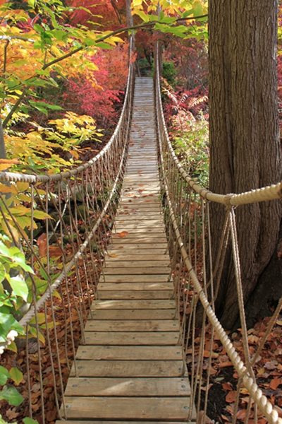 The Steinhardt Garden – A ‘Must Visit’ Landscape
Garden Design
Calimesa, CA