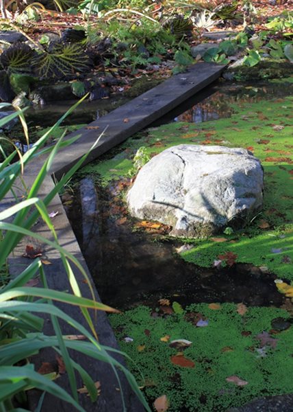 The Steinhardt Garden – A ‘Must Visit’ Landscape
Garden Design
Calimesa, CA