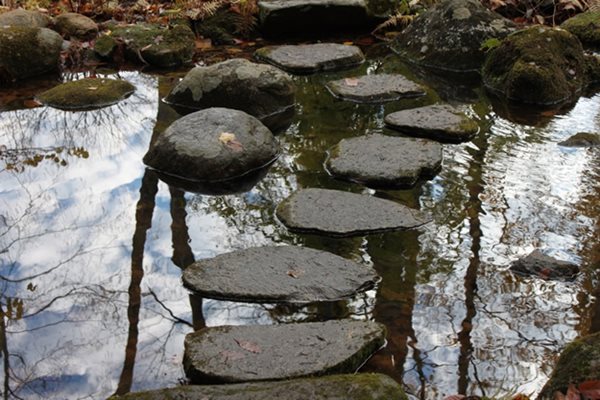The Steinhardt Garden – A ‘Must Visit’ Landscape
Garden Design
Calimesa, CA