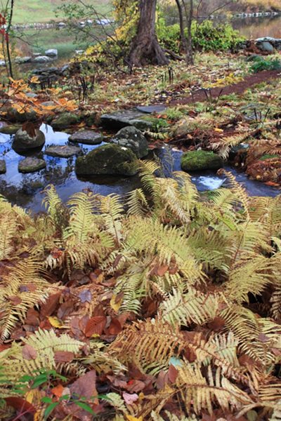 The Steinhardt Garden – A ‘Must Visit’ Landscape
Garden Design
Calimesa, CA
