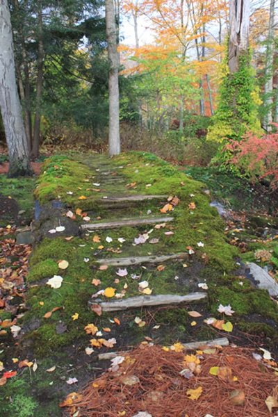 The Steinhardt Garden – A ‘Must Visit’ Landscape
Garden Design
Calimesa, CA