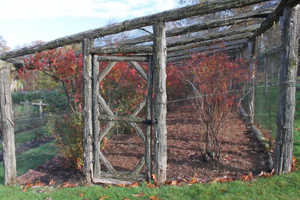 The Steinhardt Garden – A ‘Must Visit’ Landscape
Garden Design
Calimesa, CA