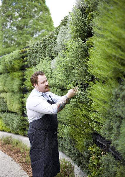 Three New Reasons to Visit the Atlanta Botanical Garden
Atlanta Botanical Garden
Atlanta, GA