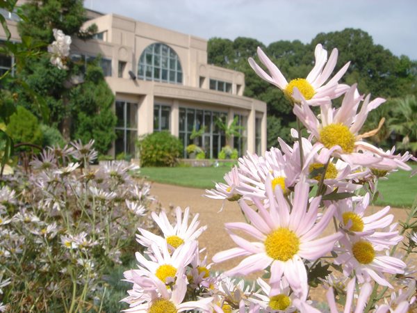 Three New Reasons to Visit the Atlanta Botanical Garden
Garden Design
Calimesa, CA