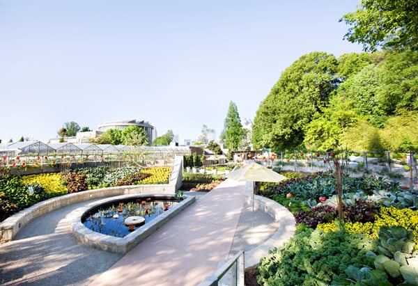 Three New Reasons to Visit the Atlanta Botanical Garden
Garden Design
Calimesa, CA