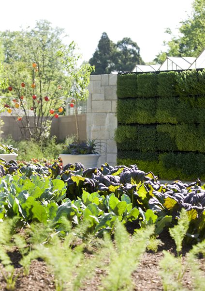 Three New Reasons to Visit the Atlanta Botanical Garden
Garden Design
Calimesa, CA