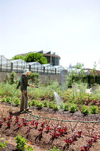 Three New Reasons to Visit the Atlanta Botanical Garden
Garden Design
Calimesa, CA