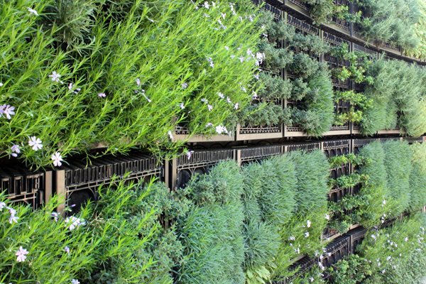 Three New Reasons to Visit the Atlanta Botanical Garden
Garden Design
Calimesa, CA