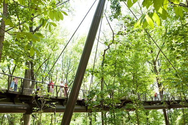 Three New Reasons to Visit the Atlanta Botanical Garden
Garden Design
Calimesa, CA